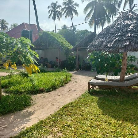 Mambo Leo Hostel ปาเยอ ภายนอก รูปภาพ