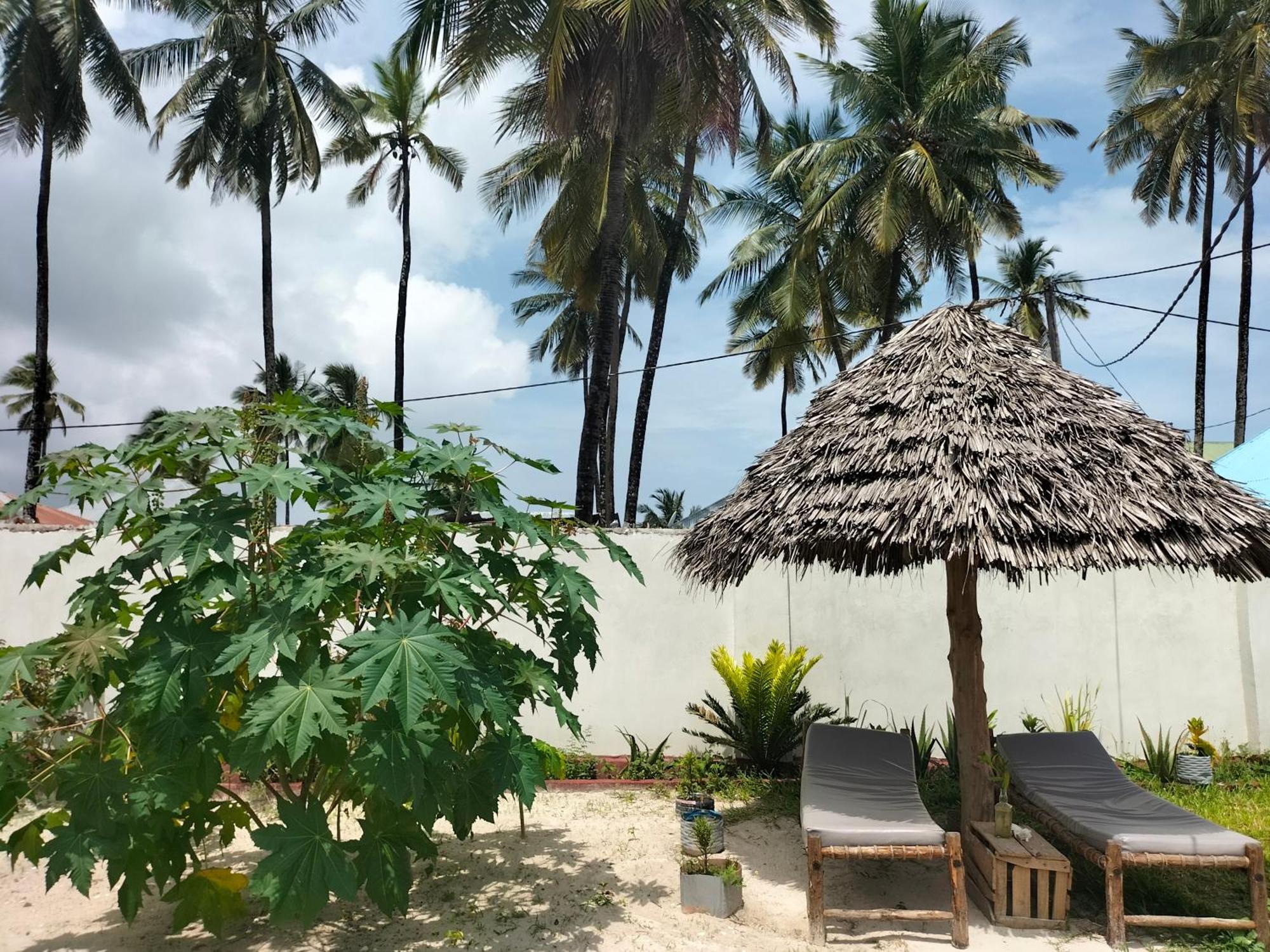 Mambo Leo Hostel ปาเยอ ภายนอก รูปภาพ