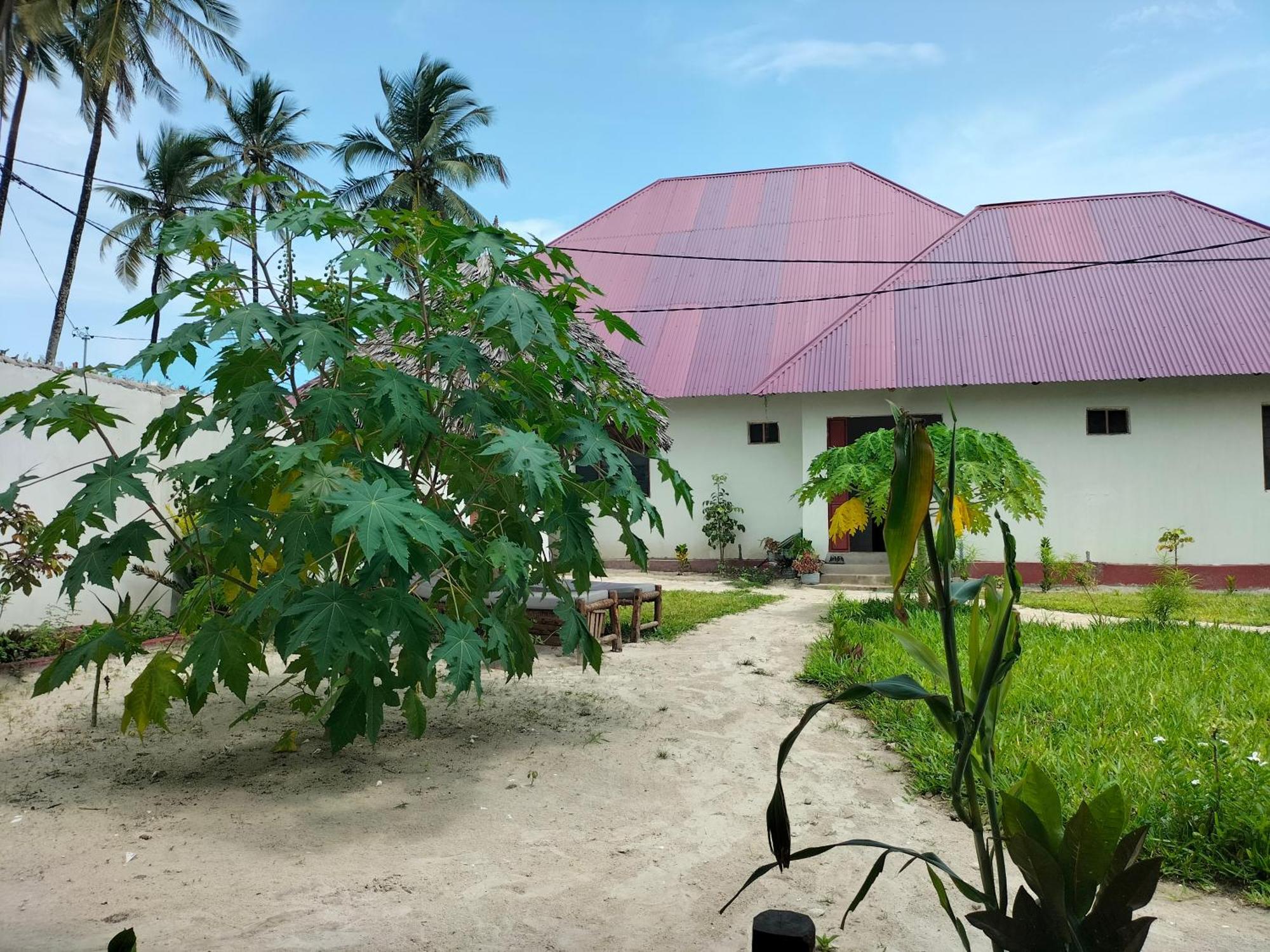 Mambo Leo Hostel ปาเยอ ภายนอก รูปภาพ