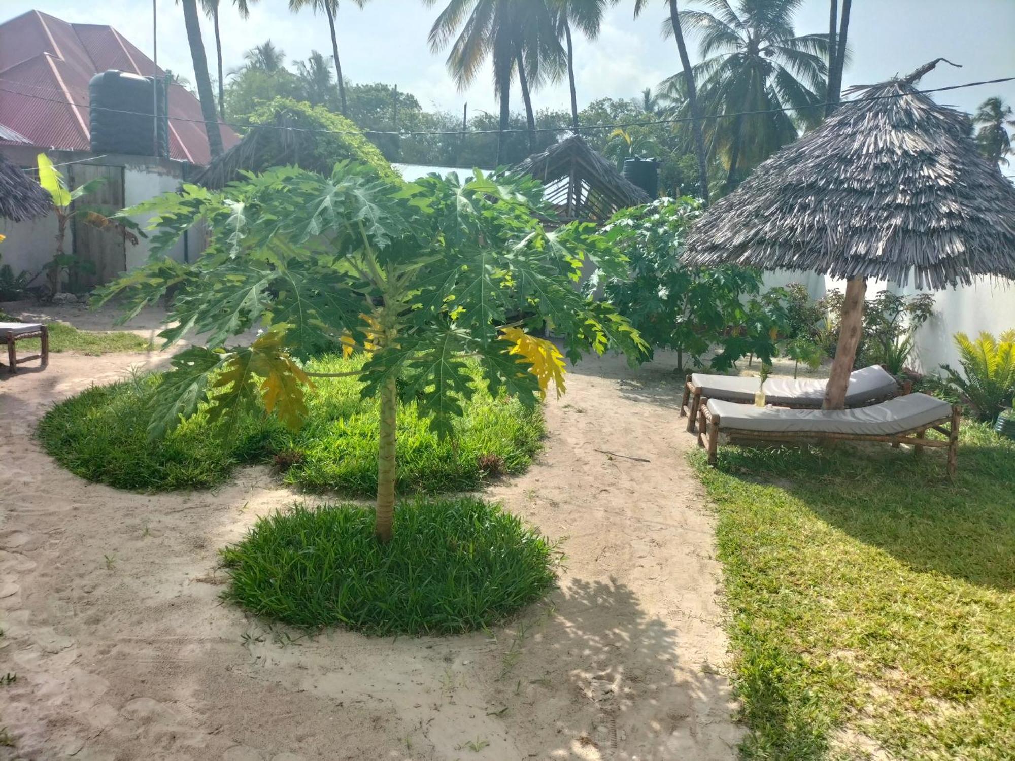 Mambo Leo Hostel ปาเยอ ภายนอก รูปภาพ